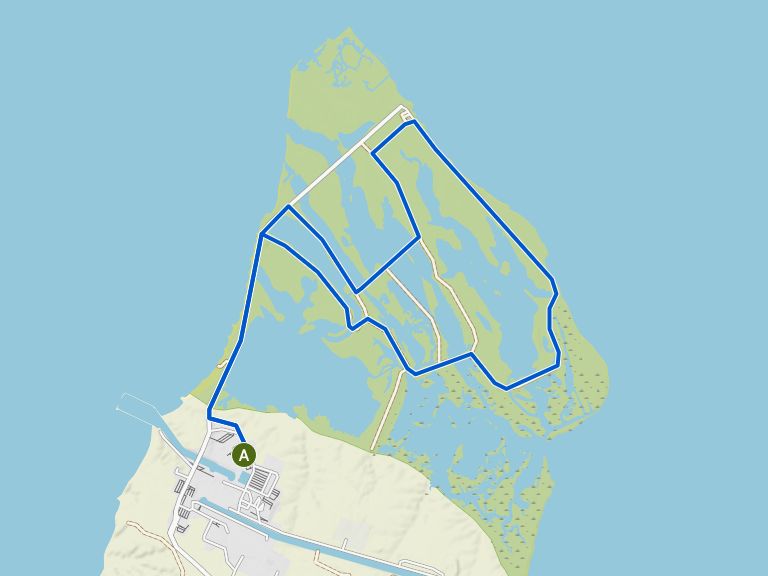 Rota da ilha — Hog Island Wildlife Management Area | trilha | komoot